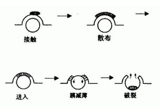 消泡剂的消泡原理